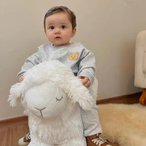 Conjunto Moletom Teddy Cinza